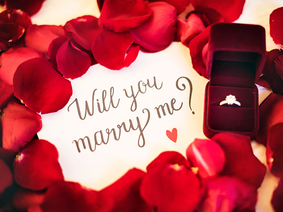 Melbourne Wedding Proposals - Proposal Process - Will You Marry Me